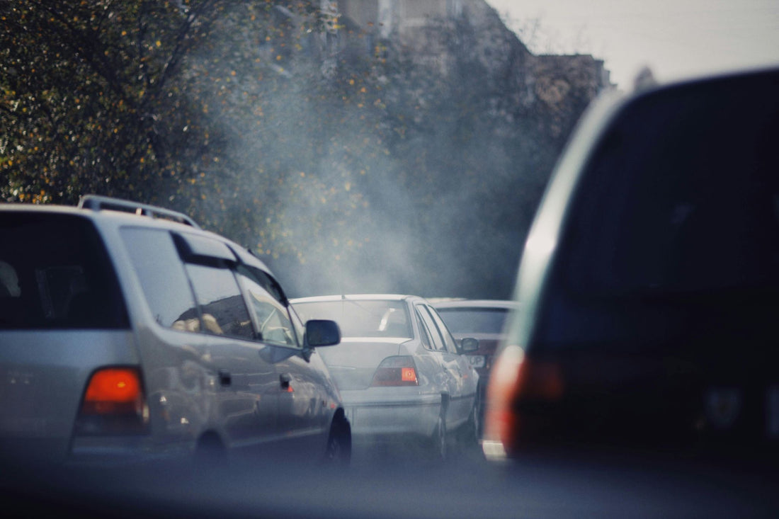 The Overlooked Link Between Air Pollution and Nasal Health