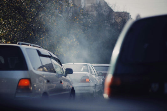 The Overlooked Link Between Air Pollution and Nasal Health