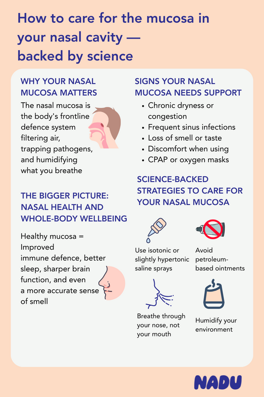 How to look after the mucosa in your nasal cavity