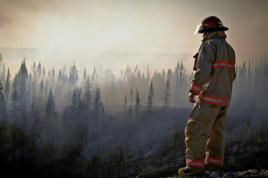 Breathing Easy: Safeguarding Nasal Health in the Face of Wildfire Smoke
