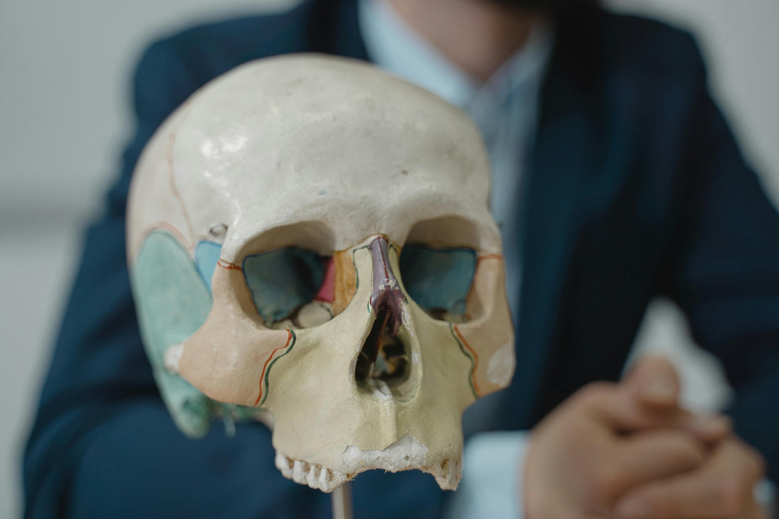 Why Nasal Health is a Foundational Part of Human Physiology Not Just a Comfort Issue